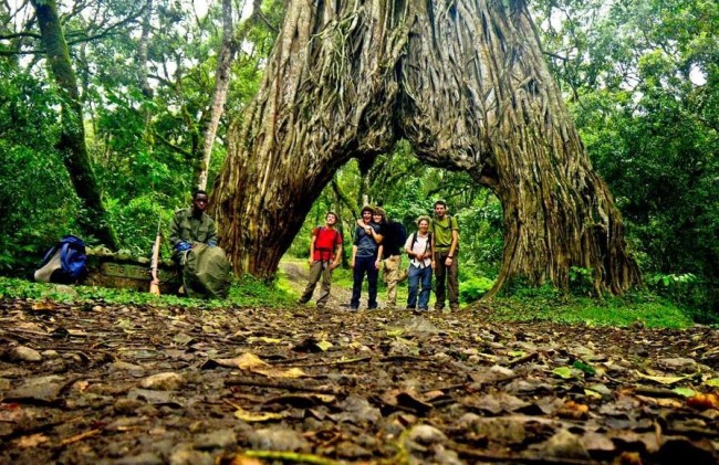 the best thing to do in mount meru 